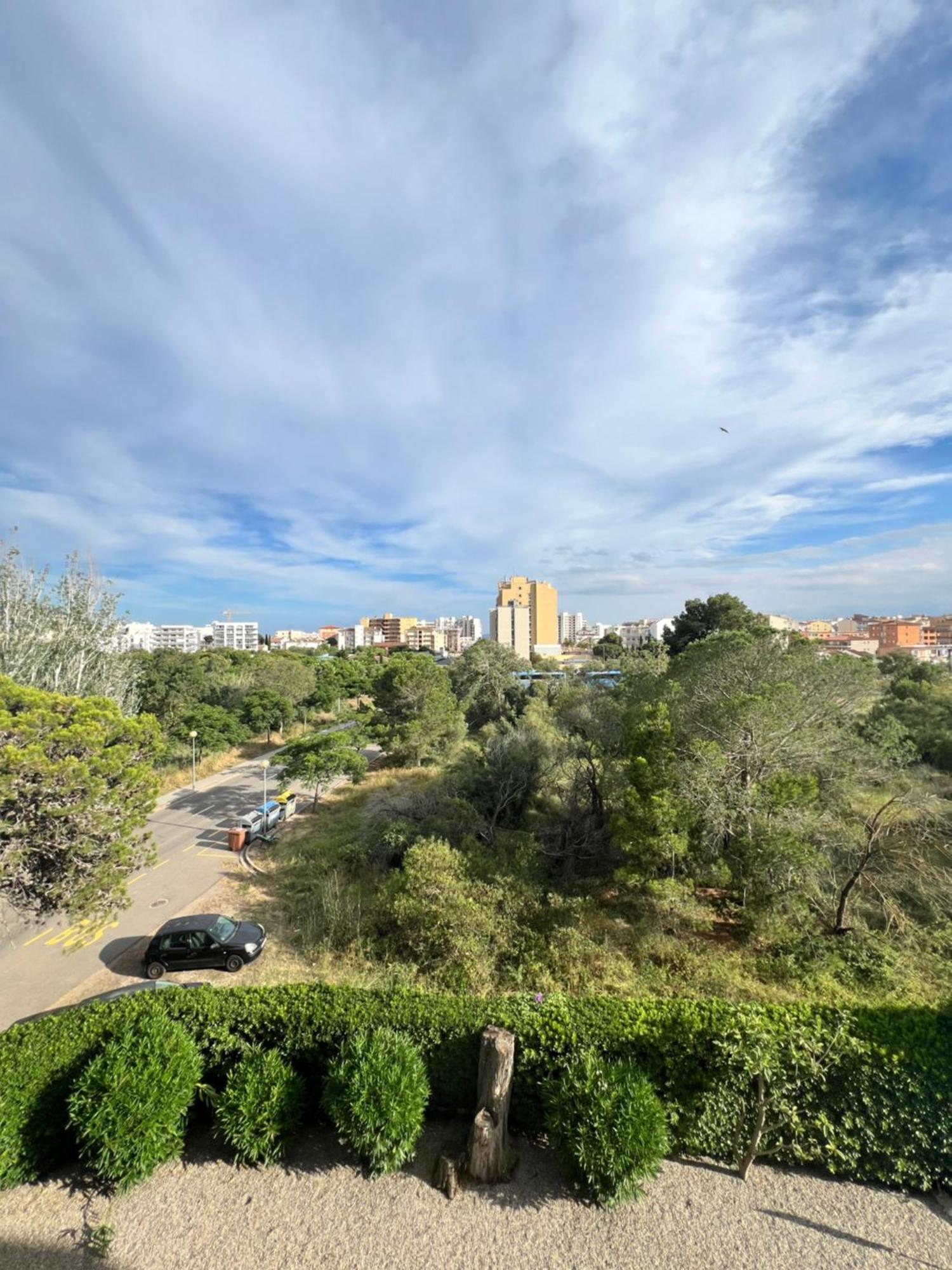 3 Apartment, 500m To Beach, Swimming Pool, Terrace Apartment Roses